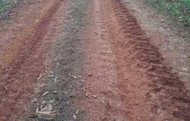 Imagem 8: Linda fazenda na agricultura em Taquarituba - SP