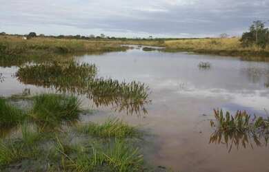 Imagem: A fazenda possui 106m² de Área e está localizado em Centro