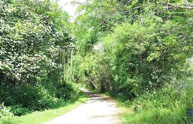 Imagem 9: Terreno à venda, 5324 m² por R$ 468.000,00 - Granja Viana - Cotia/SP