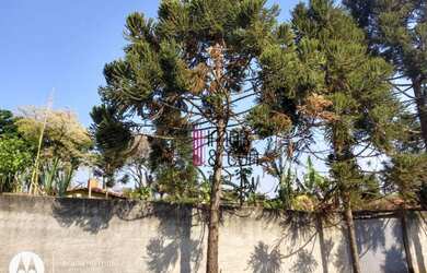 Imagem 8: Terreno à venda, 500 m² por R$ 500.000,00 - Vila Esperia Ou Giglio -...