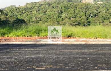 Imagem 12: Cotia - Terreno Padrão - Centro