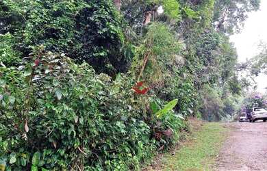 Imagem 5: Terreno à venda, 360 m² - Park Imperial - Caraguatatuba/SP