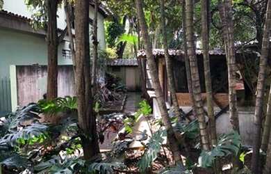 Imagem 13: Sobrado, Butantã - São Paulo