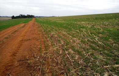 Imagem 9: Linda fazenda na agricultura em Taquarituba - SP