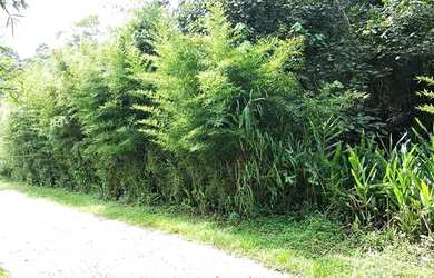 Imagem 5: Terreno à venda, 5324 m² por R$ 468.000,00 - Granja Viana - Cotia/SP