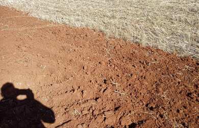 Imagem 16: Linda fazenda na agricultura em Taquarituba - SP