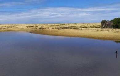 Imagem 10: Área para Venda em Santa Cruz Cabrália, guaiu