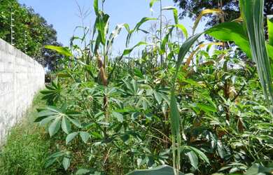 Imagem 5: Terreno à venda 1000M², LOTEAMENTO SANTA ROSA, JUNDIAÍ - SP