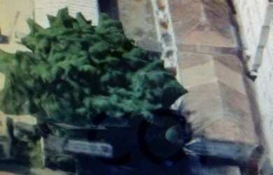 Imagem: O terreno possui 750m² de Área e está localizado em Aparecida