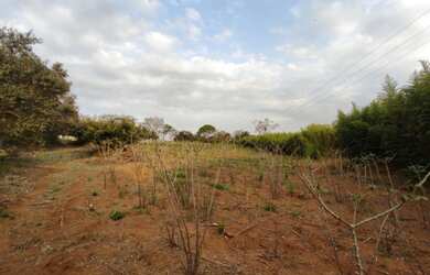 Imagem 11: Arrenda-se sítio em Bernardino De Campos com 7,197492 hectares, ROD....