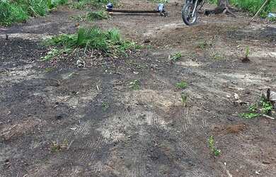 Imagem: O terreno está localizado em Diamantino, Santarém à venda