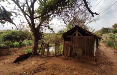 Imagem 8: Arrenda-se sítio em Bernardino De Campos com 7,197492 hectares, ROD....