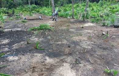 Imagem 3: Terreno no pajuçara. 