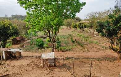 Imagem 13: Arrenda-se sítio em Bernardino De Campos com 7,197492 hectares, ROD....