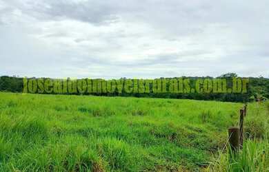 Imagem 8: Fazenda 20,0 alqueires em soja, ribeirão, Monte Alegre de Minas MG