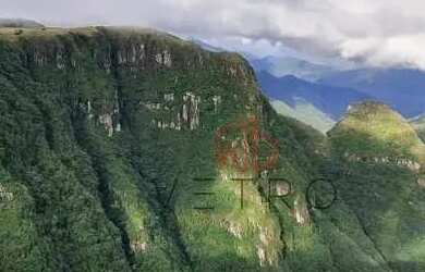 Imagem 5: Sítio em São José dos Ausentes