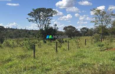 Imagem 8: FAZENDA À VENDA - 100 HECTARES - MORRO DA GARÇA MG