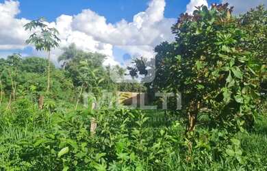 Imagem 3: Terreno - MORADA DOS PASSAROS