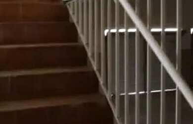 Imagem 14: GALPÃO - VILA CURUÇÁ - SP