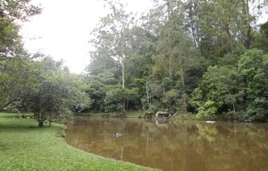 Imagem: O terreno possui 1.100m² de Área e está localizado em Roseira