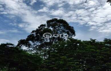 Imagem 14: APARTAMENTO LOCALIZADO NA TAQUARA