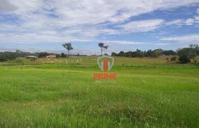 Imagem 10: Fazenda à venda 53 Alqueires por R$ 6.890.000 - Sandovalina/São Paulo