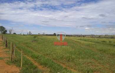 Imagem 4: Fazenda à venda 53 Alqueires por R$ 6.890.000 - Sandovalina/São Paulo