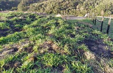 Imagem 8: LINDO LOTE COM VISTA DE 360º