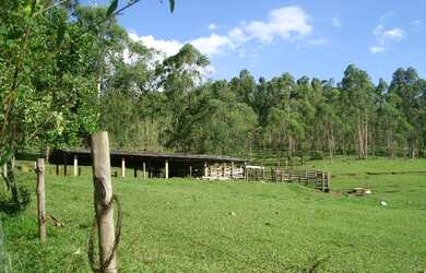 Imagem 12: Sítio para venda no bairro Morro Grande em Bragança Paulista