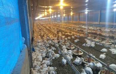 Imagem: A fazenda possui 52.000m² de Área e está localizado em Centro