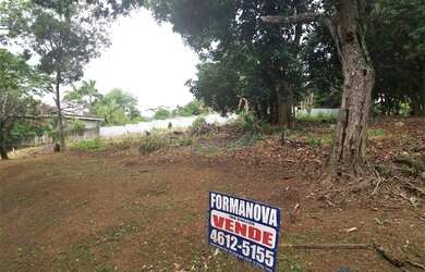 Imagem 3: Terreno à venda, 2372 m² por R$ 980.000,00 - Parque Dom Henrique - Cotia/SP