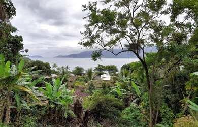 Imagem 2: Terreno a 60 Passos da Areia da Praia Grande em Ilhabela