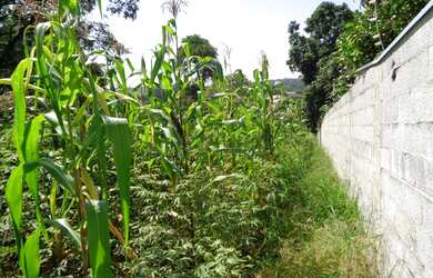 Imagem 6: Terreno à venda 1000M², LOTEAMENTO SANTA ROSA, JUNDIAÍ - SP