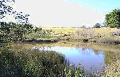 Imagem: A fazenda possui 995m² de Área e está localizado em Jardim