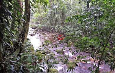 Imagem 7: Terreno à venda, 360 m² - Park Imperial - Caraguatatuba/SP