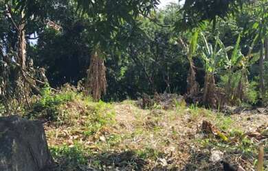 Imagem 16: Terreno a 60 Passos da Areia da Praia Grande em Ilhabela