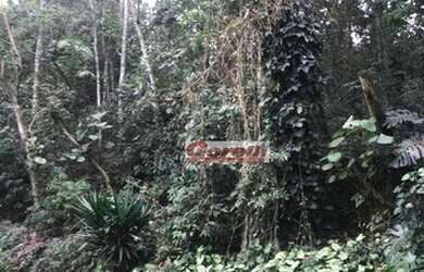 Imagem 1: Terreno à venda, 985 m² por R$ 320.000,00 - Condomínio Arujazinho I,...