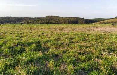 Imagem 12: LINDO LOTE COM VISTA DE 360º