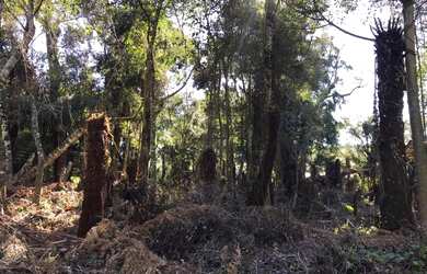 Imagem: O terreno possui 838m² de Área e está localizado em Canela