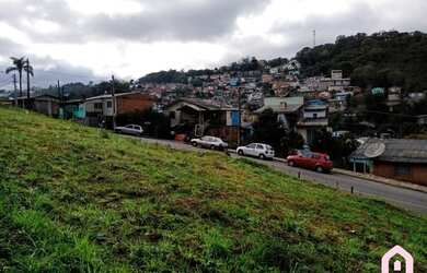 Imagem 6: CAXIAS DO SUL - Terreno Padrão - São Victor COHAB