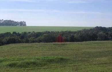 Imagem 5: Fazenda à venda, 1597200 m² por R$ 14.000.000,00 - Paranapanema - Paranapanema/SP