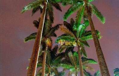 Imagem 14: Terreno à venda, 1050 m² por R$ 390.000,00 - Condomínio Village das...