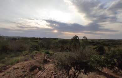Imagem 15: Arrenda-se sítio em Bernardino De Campos com 7,197492 hectares, ROD....