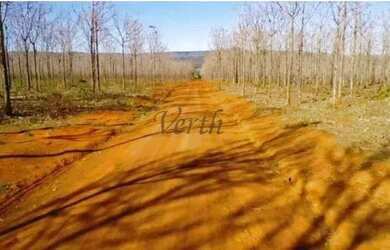 Imagem 4: Fazenda em Unaí - Minas Gerais, à venda com 537ha - Dupla Aptidão