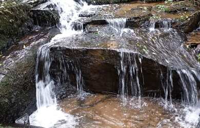 Imagem: A chácara possui 4.686m² de Área e está localizado em Gramado