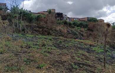 Imagem 3: Terreno POLIVALENTE. 840m² de Área