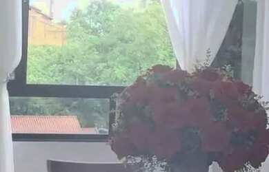 Imagem 13: Vende-se Casa Semi Mobiliada (590,65m²) Jlle, Petropolis, Rua Augusto Ernesto nº 545 R$2