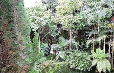 Imagem 4: Casa em condomínio de alto padrão na Granja Viana