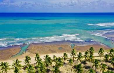 Imagem 4: Terreno 630m² no Piscinas Naturais em Praia do Forte R$ 1.550.000,00