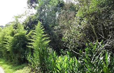 Imagem 8: Terreno à venda, 5324 m² por R$ 468.000,00 - Granja Viana - Cotia/SP